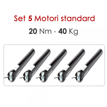 Confezione 5 Motoriduttori – 20 Nm | 40 kg