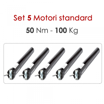 Confezione 5 Motoriduttori – 50 Nm | 100 kg