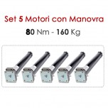 Confezione 5 Motoriduttori con Sblocco – 80 Nm | 160 kg