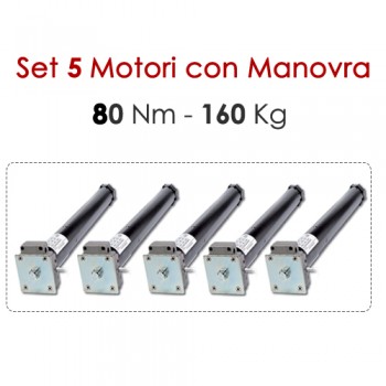 Confezione 5 Motoriduttori con Sblocco – 80 Nm | 160 kg