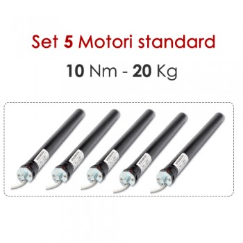 Confezione 5 Motoriduttori – 10 Nm | 20 kg
