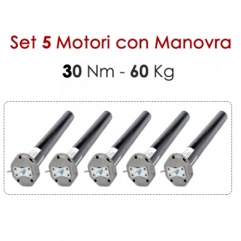 Confezione 5 Motoriduttori con Sblocco – 30 Nm | 60 kg