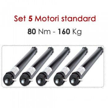Motore Tubolare per Tende – 80 Nm | 160 kg – Versione Standard