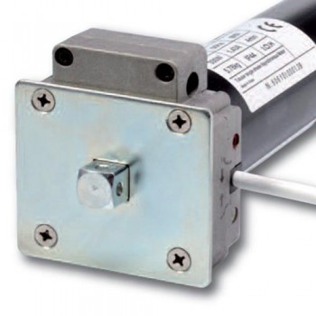 Confezione 5 Motoriduttori con Sblocco – 30 Nm | 60 kg Confezione 5 Motoriduttori con Sblocco – 30 Nm | 60 kg